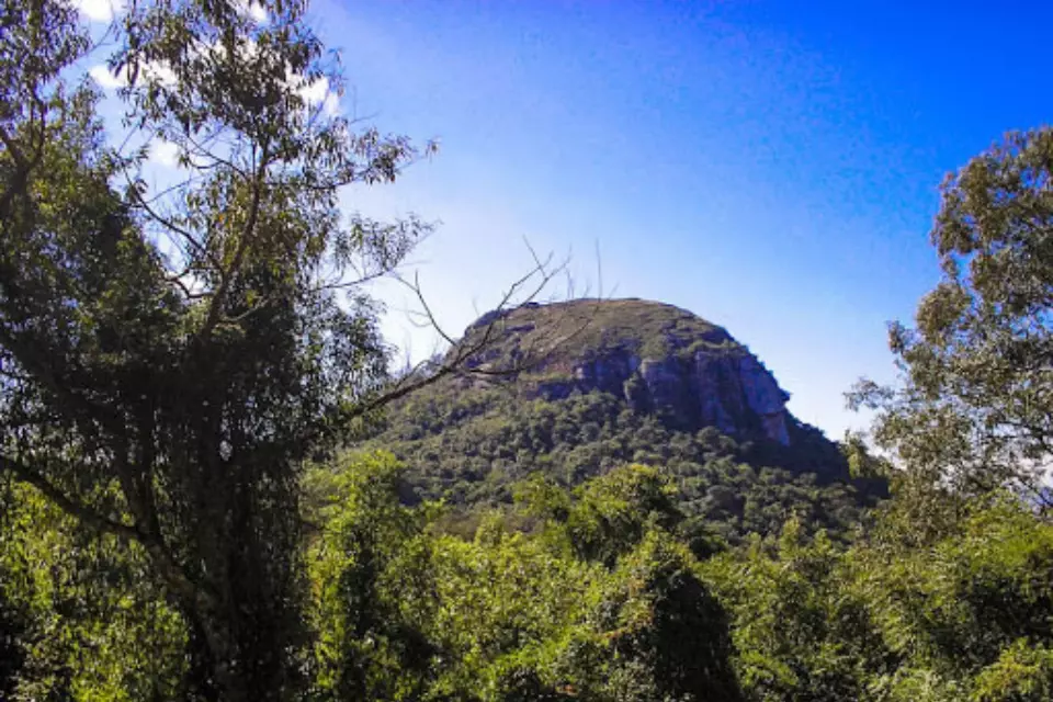 morro de sapucaia do sul visto em meio a vegetação