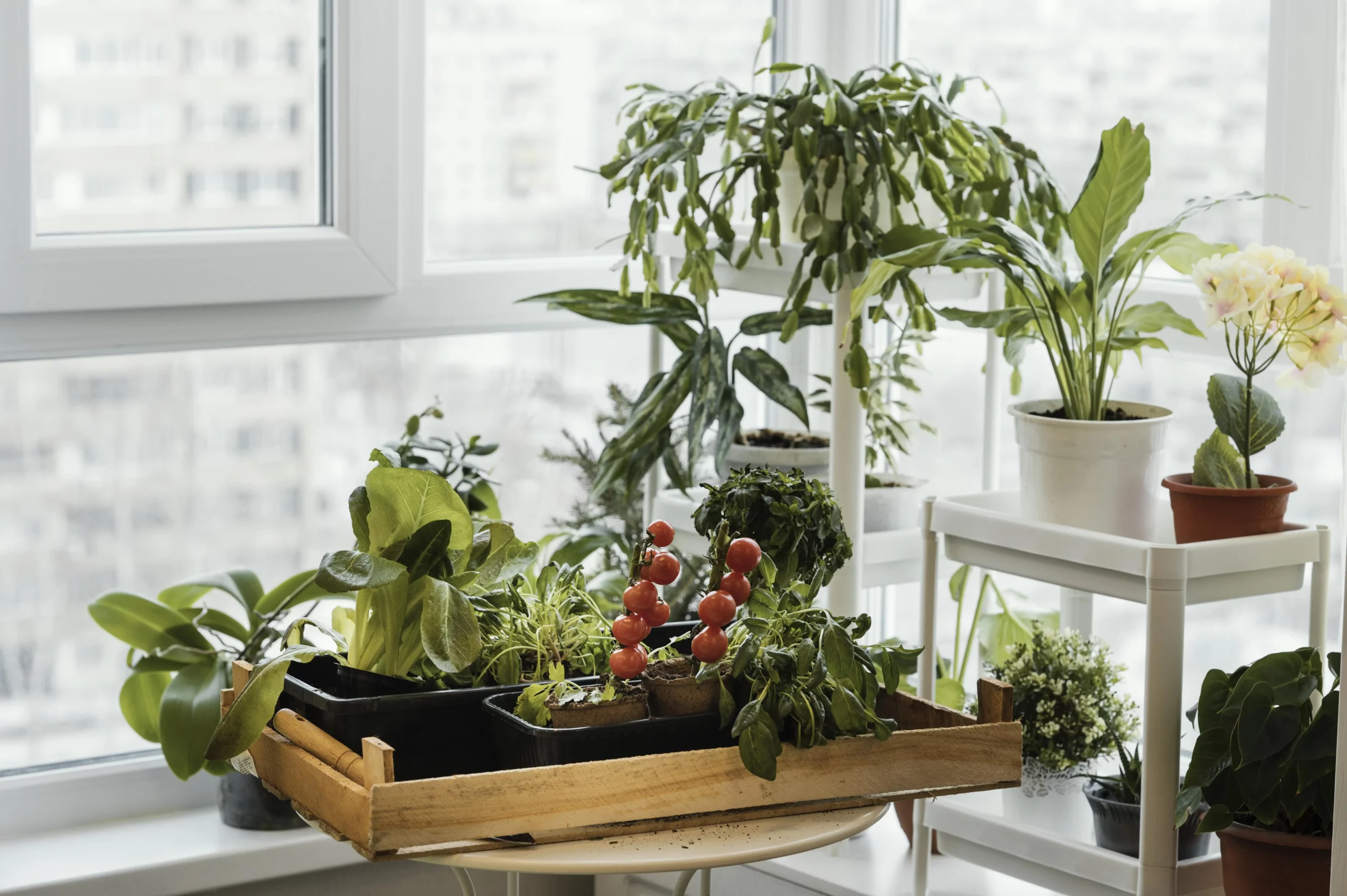 horta vertical para cozinha de apartamento